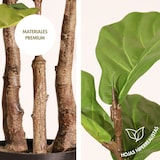 thumbnail of Pianta artificiale Ficus lyrata 135 cm - Naturing Monde - Interni