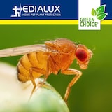 thumbnail of Edialux Green Choice - Armadilha Para Moscas Da Fruta, 2 X 15Ml