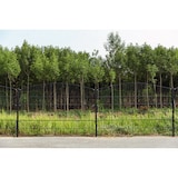 thumbnail of Gartenzaun Mattenzaun Doppelstabmattenzaun Anthrazit Grau Rund 2,4 m x 50 m