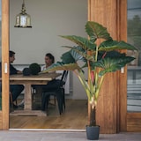 thumbnail of Arcoiris 170 Cm