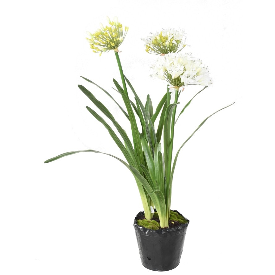 VERT ESPACE plante artificielle agapanthe en motte blanc 90 cm