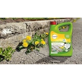 thumbnail of Solabiol Grundstoff Acetum,  3 Liter