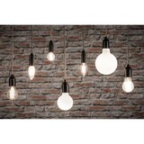 thumbnail of Paulmann LED Globe Filament   E27 230V 470lm 5,6W 2700K dimmbar Opal 28623