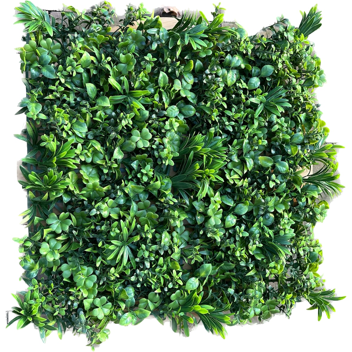 GeckoWall “Jacarta” | Parede de planta de selva premium | Revestimentos de parede para hotelaria plantas artificiais | Painéis de parede tropicais