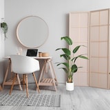 thumbnail of Kunstplant STRELITZIA Groen hjh OFFICE