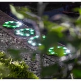 thumbnail of PROREGAL Mega Deal 12x Solarlampe NATURE mit automatischer Einschaltfunktion, Ø 24cm, 8 LEDs, Automatisches Schalten, Gartenlampe, Rattanlampe, LED
