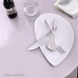 thumbnail of PINTINOX Tafelmesser "SWING" ,13/0, 3,0mm, 12 Stück