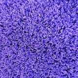 thumbnail of Pavimentos Arquiservi - Césped artificial 8mm / 2x15 (30m²) / 34,000 puntadas/m²