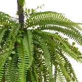 thumbnail of CREATIV green künstlicher Farnhänger, 120cm, grün