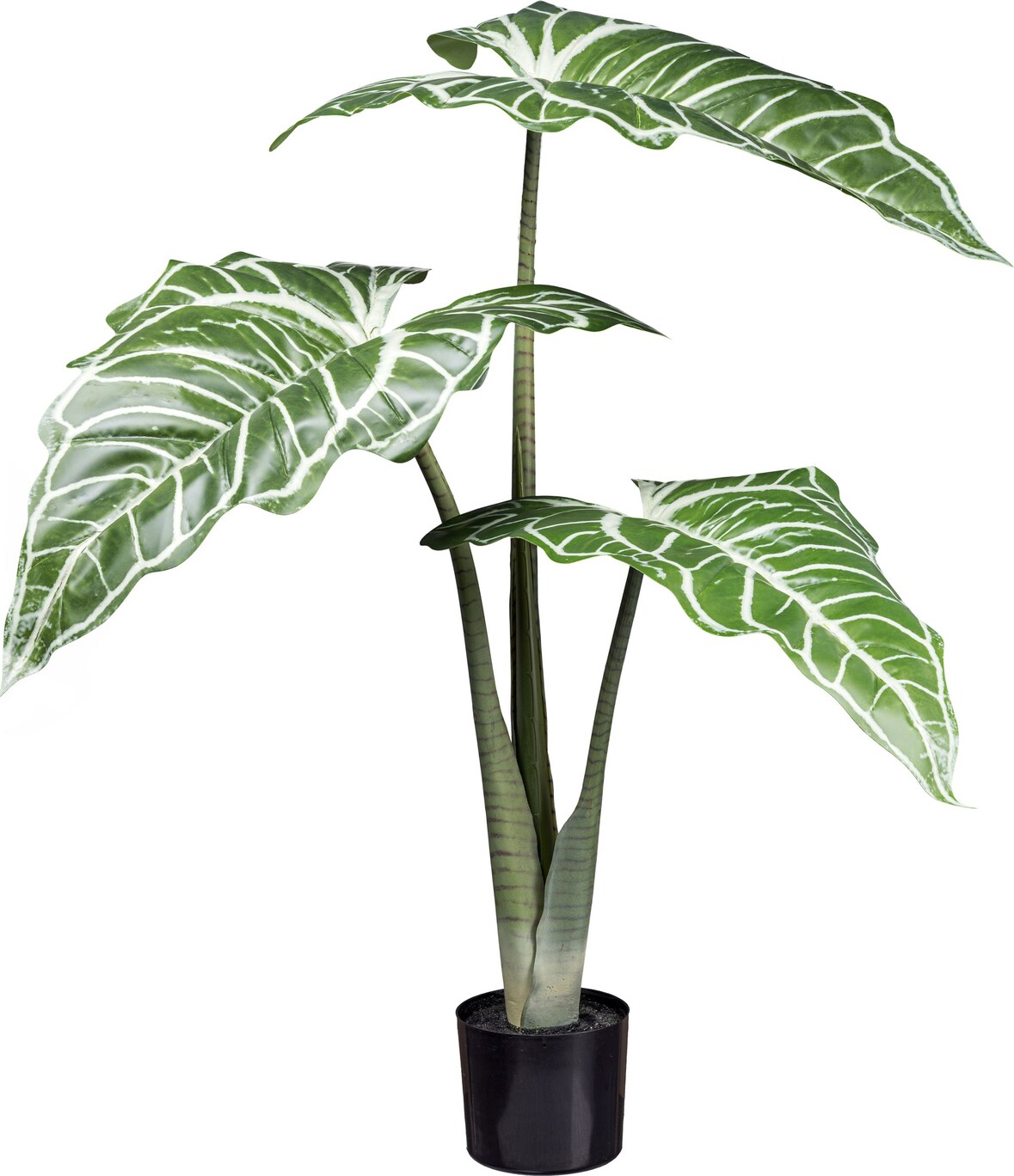 CREATIV green künstliche Pflanze Colocasia White lava, ca 130cm