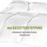 thumbnail of Kassettenbett (4x6) - 135x200cm DOWNPASS