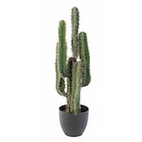 thumbnail of VERT ESPACE plante artificielle cactus finger 75 cm