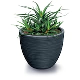 thumbnail of Prosperplast - Weiß farbeer Blumentopf mit Reservoir, FURU-Kollektion - 29,8 x 29,8 x 28 cm, 15 L Fassungsvermögen
