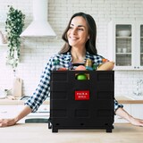 thumbnail of Relaxdays Einkaufstrolley klappbar, mit Teleskopgriff, Rollen, Transporttrolley bis 35 kg, 50 Liter Kiste, schwarz/grau