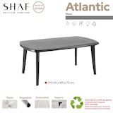 thumbnail of SHAF  Mesa Atlantic antracita
