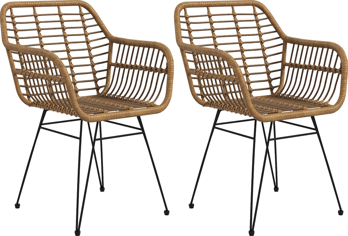 Esszimmerstuhl 2er Set 56x60x79 cm Natur+Schwarz mit Polyrattan Sitzschale Armlehnen Stahlbeinen rutschfesten Fußkappen ergonomisch