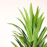 thumbnail of Planta artificial Yuca 160cm | Naturing Monde - Interior