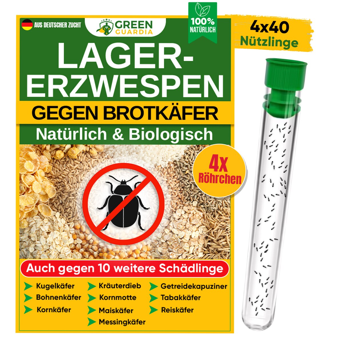 Lagererzwespen gegen Brotkäfer, Reiskäfer & Co. - 4