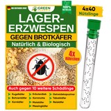 thumbnail of Lagererzwespen gegen Brotkäfer, Reiskäfer & Co. - 4