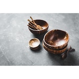 thumbnail of FHC - 100Pcs - Bol noix de coco naturel - H60mm 170ml