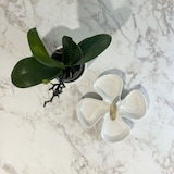 thumbnail of Restootab - Dienblad 70x70 olympo marmer decor messing randen