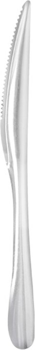 thumbnail of MONOUSO - Coltello Acciaio Inossidabile 17,5 cm (10 Pezzi)