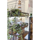 thumbnail of FLOWERS estante suspendido Techo 115 cm MARRON con cadenas para flores jardín vertical portabotellas vidrio bar cocina de Yelloo