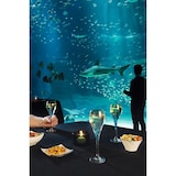 thumbnail of Arcoroc Brio - Caja 6 Copas Flauta Vidrio 9,5Cl