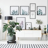 thumbnail of Relaxdays Pflanzenroller, ausziehbarer Blumenroller, Ø 40 - 57,5 cm, Kunststoff, max. 200 kg, innen & außen, dunkelgrau