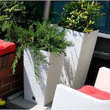 thumbnail of Prosperplast - Vaso quadrato alto in plastica Rato Square da 19 L con serbatoio in bianco, 45x24x24 cm