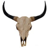 thumbnail of Décoshop26 - Tête de taureau décoration murale 45cm trophée longhorn en polyrésine intérieur/extérieur naturel 04_0002848