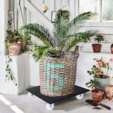 thumbnail of WAGNER Pflanzenroller ALASKA - 45 x 45 x 9,5 cm, In- & Outdoor, Alu Noppenblech, schwarz,max 150 kg - DE Ware - 20139101