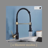 thumbnail of Bernd | Rubinetto Flessibile Catering Black Gold |da cucina in acciaio inossidabile|miscelatore può essere ruotato  360 gradi Alta pressione 2 porte