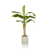 thumbnail of Kunstpflanze / Kunstbaum BANANE I 150 cm grün hjh OFFICE