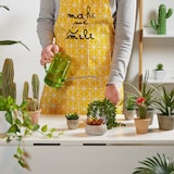 thumbnail of Relaxdays Gießkanne Zimmerpflanzen, 2er Set, 1 l, Kunststoff, Edelstahl, Blumengießkanne für Zimmerpflanzen, grau/grün