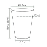 thumbnail of MONOUSO - Becher Transparent PP 350ml  (50 Stück)