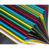 thumbnail of Exacompta 55075E 8x Ordnungsmappe HARMONIKA mit ausgestanzten Fenstern und Gummizug, aus Colorspan-Karton, 7 Fächer, für DIN A4 - Rot