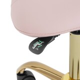 thumbnail of physa - Zadelstoel - 51 - 65 cm - 150 kg - zachtroze/goud