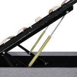 thumbnail of vidaXL Bett mit Bettkasten Hydraulisch LED Hellgrau Stoff 180x200 cm