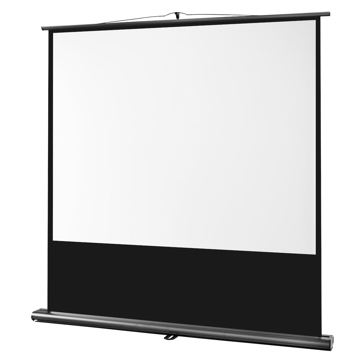 celexon Leinwand Ultramobil Professional 160 x 120 cm