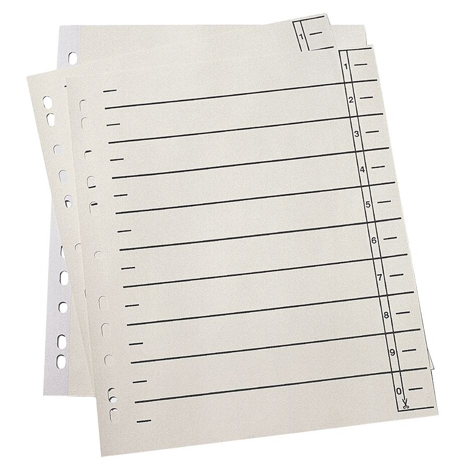 9521108100 Trennblätter - A4 Überbreite, 190 g/qm Karton, Lochrand verstärkt, chamois, 100 Stück