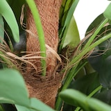 thumbnail of Planta artificial EPIPREMNUM Verde hjh OFFICE