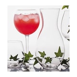 thumbnail of MONOUSO - Plastikkaraffe Wiederverwendbar Durable Tritan 1000ml (1 Stück)