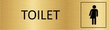 thumbnail of CombiCraft Aluminium Türschild Gold Toilet genderneutraal 165x45mm mit 3M-Tape