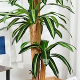 thumbnail of Dracaena artificial 160 cm con maceta árbol artificial con 66 hojas musgo planta artificial para decoración jardín balcón oficina salón Ø20x160 cm