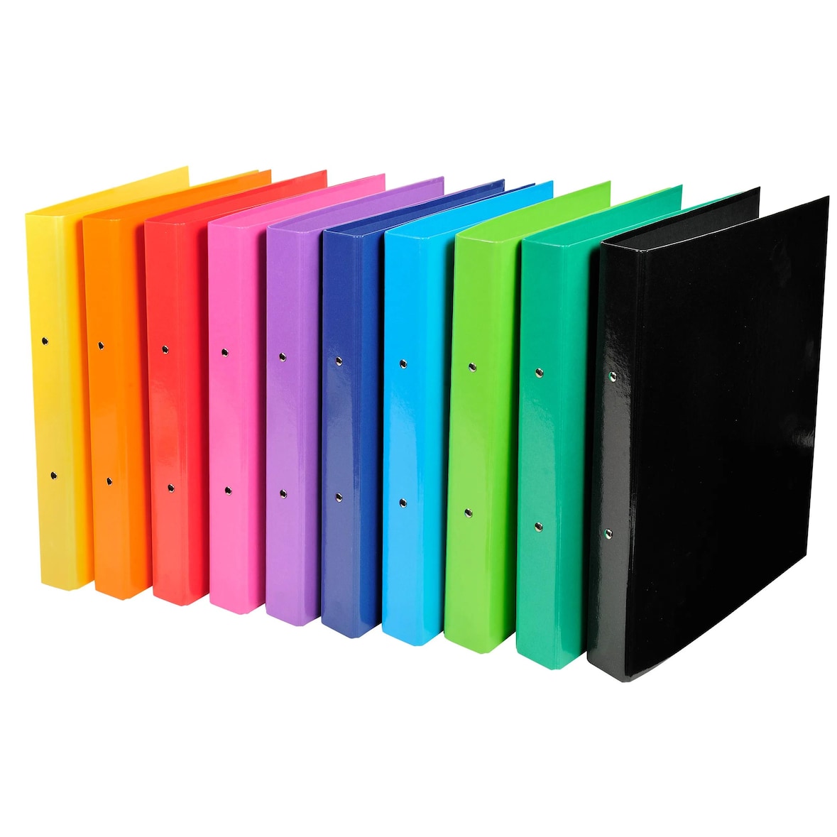 Exacompta 54929E 10x Ringbuch aus kaschiertem Karton, 2 Ringe 30mm, Rückenbreite 40mm, 32x26cm für DIN A4 - Iderama - Farben sortiert