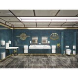 thumbnail of Mediclinics Spiegel - Edelstahl - 800 x 600 mm