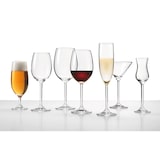 thumbnail of Leonardo DAILY Cocktailglas 270 ml 12er Set