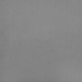 thumbnail of vidaXL Slaapbank 2-zits met 2 kussens fluweel lichtgrijs