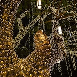 thumbnail of Guirlande lumineuse solaire 16.3M Noir Lumisky